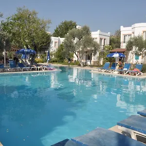 book here